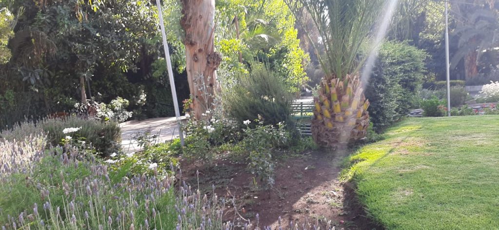 Asamblea 2024 hermanas religiosas SSCC32.JPG